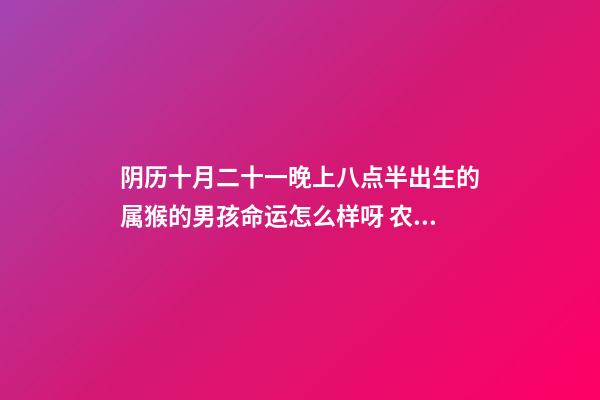 阴历十月二十一晚上八点半出生的属猴的男孩命运怎么样呀 农历2008年十月二十一出生叫李怡然名字好不好-第1张-观点-玄机派